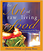 9781401921835 - Art Of Raw Living Food By Doreen Virtue paperback